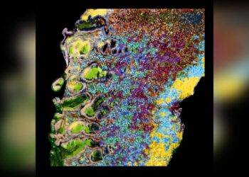 New barcode technology could help diagnose cancer more accurately