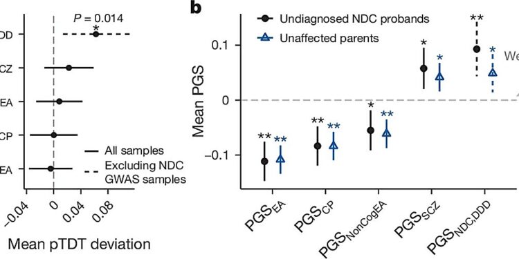 New study links common DNA differences to rare, unexplained neurodevelopmental conditions