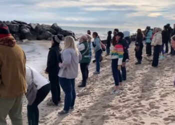 ON VIDEO | Democratic supporters gather on beach to voice frustration over Trump’s election