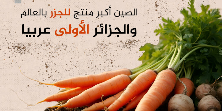 The top 10 countries that produce carrots in the world.. Algeria and Morocco lead the Arabs | economy