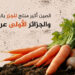The top 10 countries that produce carrots in the world.. Algeria and Morocco lead the Arabs | economy