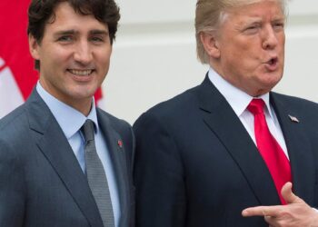 Fentanyl and illegal migrants: Is Donald Trump right to blame Canada (and its border)?