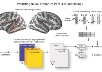 LLMs become more brain-like as they progress, researchers find