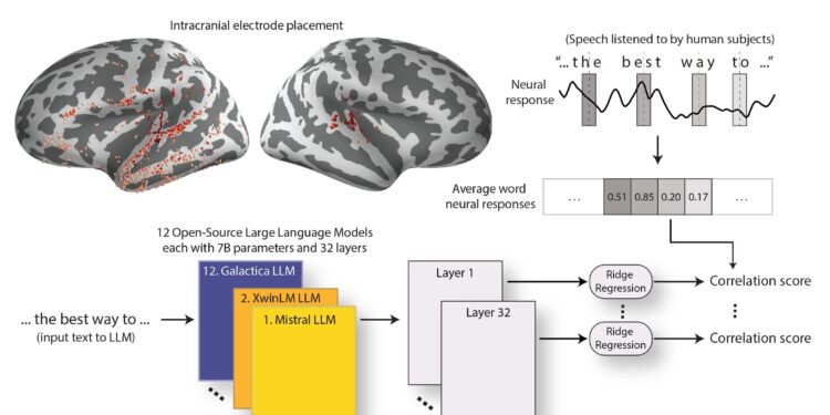 LLMs become more brain-like as they progress, researchers find