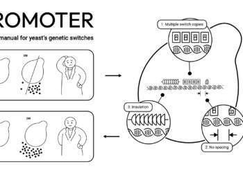 Researchers propose three design principles