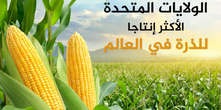 Satisfies world hunger…the 10 countries that most produce and export corn economy