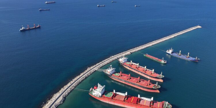 The Customs Directorate in Syria cancels 10 fees that exhausted citizens during the Assad regime | economy