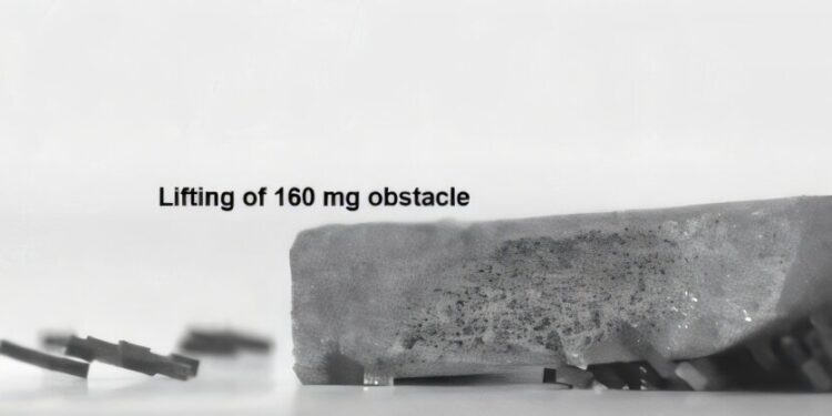 Watch swarms of “ant-like” robots conquer obstacles and carry heavy loads