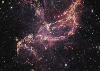 Webb discovers that planet-forming disks lived longer in the early universe