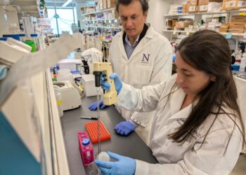 What is the secret sauce of metformin? New study shows how ‘wonder drug’ works in living animals