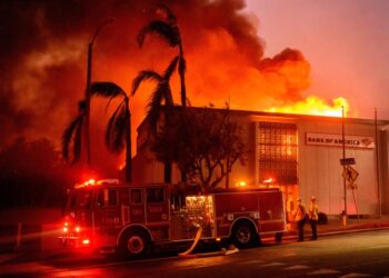 Violent fire near Los Angeles | At least five dead, Hollywood Hills on fire