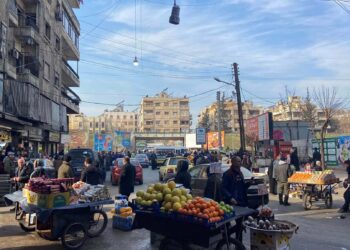 Do Syrian businessmen intend to return to their homeland after the fall of the Assad regime? | economy