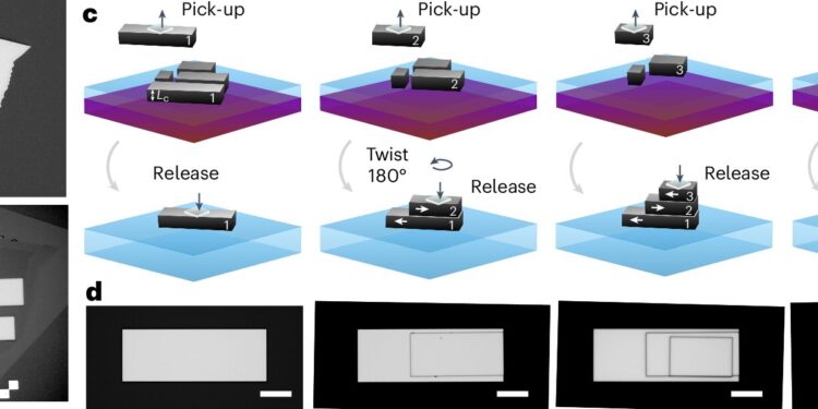 Engineering quantum entanglement at the nanoscale