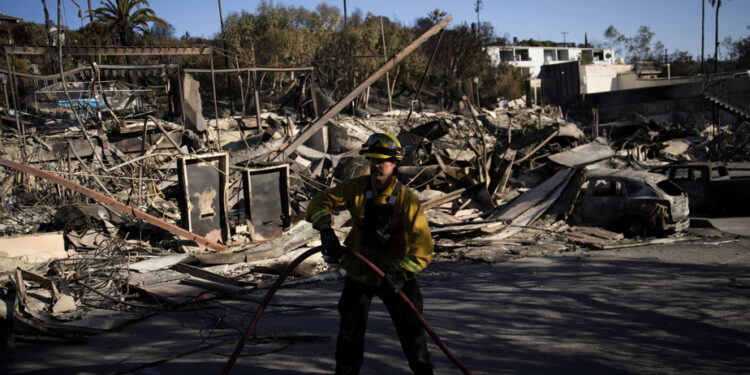 Fires in the Los Angeles area | “Bodies every day”