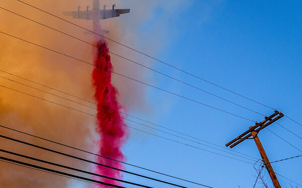 Flame retardant | When bright pink hides harmful products