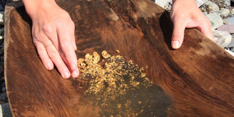 Mining companies reap the benefits of the record rise in gold prices economy