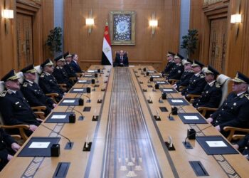 Sisi: Egypt needs $20 billion annually to buy petroleum products economy