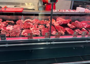 Why do meat prices rise in Morocco despite government support? | economy