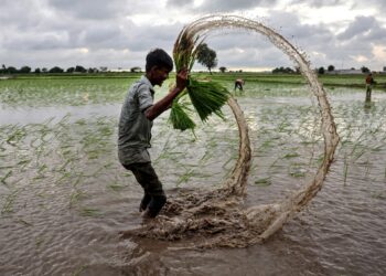 Will India become the third superpower in the world? | economy