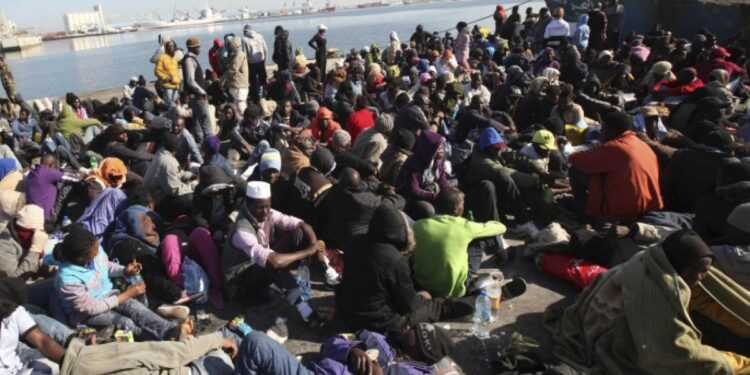 African countries facilitate the migration of their children to improve their economic situation Economy news