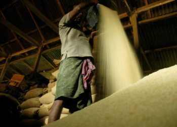 “Basmati War” between India and Pakistan .. Does aromatic rice disappear forever? | economy