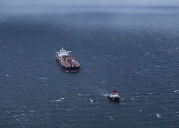 Bloomberg: The black oil market continues to challenge sanctions economy