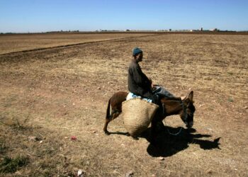Europe investments drain the resources of Egypt and Morocco and the exacerbation of the climate crisis economy
