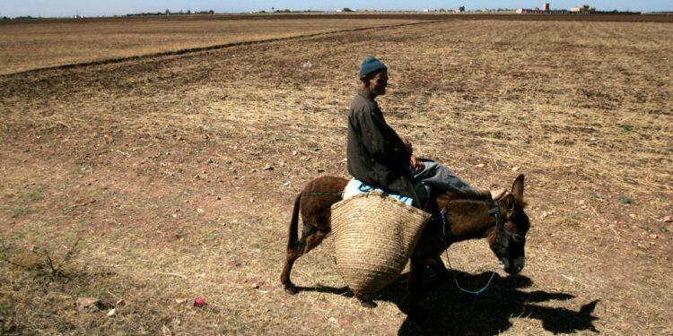 Europe investments drain the resources of Egypt and Morocco and the exacerbation of the climate crisis economy