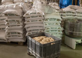 Expectations of Türkiye to export 400 thousand tons of flour to Syria in 2025 | economy