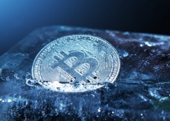 How does the future of digital currencies look like in Libya? | economy