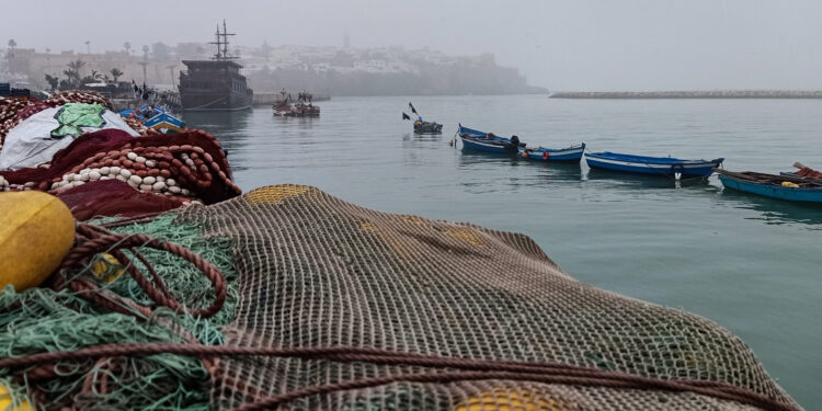 Morocco and Mauritania signs 3 agreements to cooperate in marine fishing economy