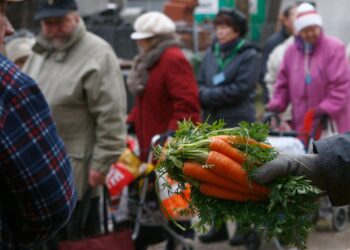 Quancas in front of food banks in Germany shake their economic position economy