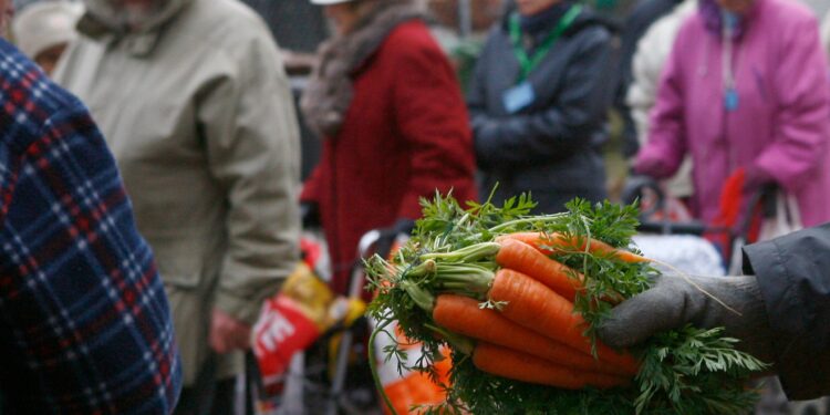 Quancas in front of food banks in Germany shake their economic position economy