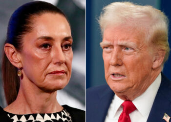 Trump confirms the suspension of customs duties on Mexico for a month Economy news