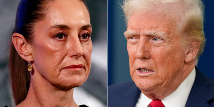 Trump confirms the suspension of customs duties on Mexico for a month Economy news