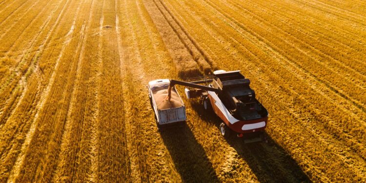 What are the reasons for the decline in global food prices in January? | economy