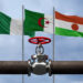 What do you know about the transit gas tube of the desert launched by Algeria, Niger and Nigeria? | economy