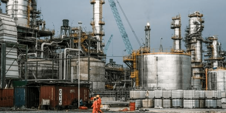 Africa is an emerging power in the global energy scene Economy news