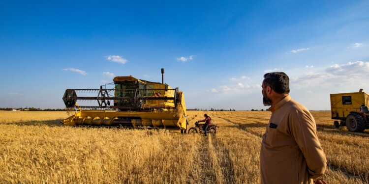 Customers: Syria offers a tender to buy 100,000 tons of flour wheat economy