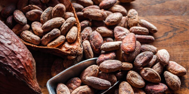 Drought hits the cocoa industry in Côte d’Ivoire economy