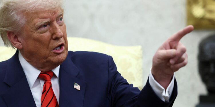 How does Trump think about the topic of customs duties? | Economy news