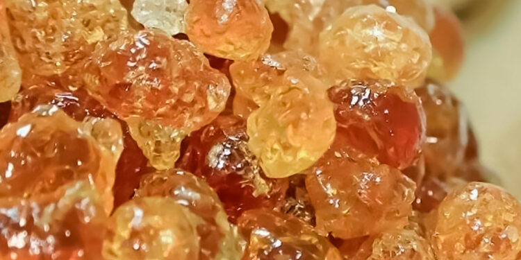 How does the smuggling of gum gum affect Sudan’s economy? | economy