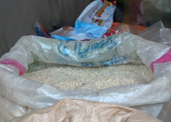 Iraqi amber rice faces challenges and the water crisis to stay economy