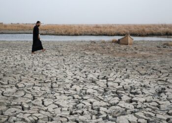 Launching the first insurance program to protect farmers from climate change in Iraq economy