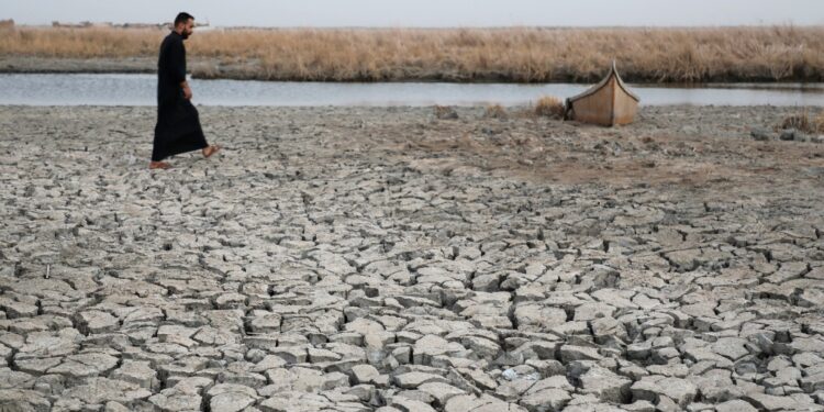 Launching the first insurance program to protect farmers from climate change in Iraq economy