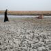 Launching the first insurance program to protect farmers from climate change in Iraq economy