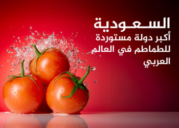 Learn to the largest producers and exporters of tomatoes in the Arab world .. Egypt and Morocco in the foreground economy