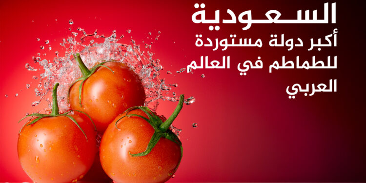 Learn to the largest producers and exporters of tomatoes in the Arab world .. Egypt and Morocco in the foreground economy