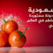Learn to the largest producers and exporters of tomatoes in the Arab world .. Egypt and Morocco in the foreground economy