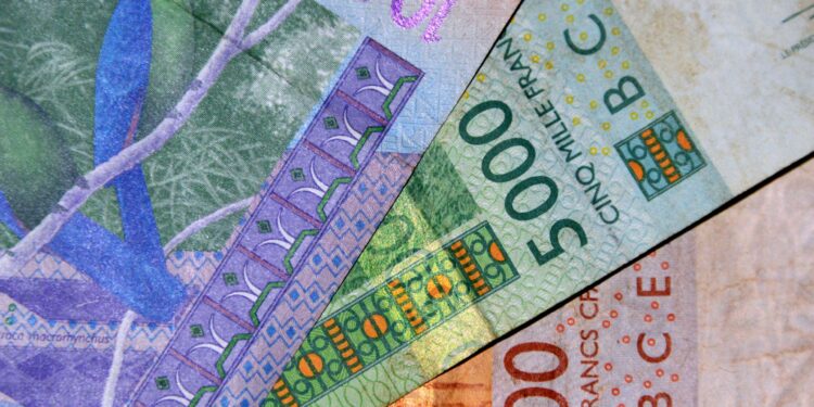 New colonialism .. The wonderful story of African franc economy